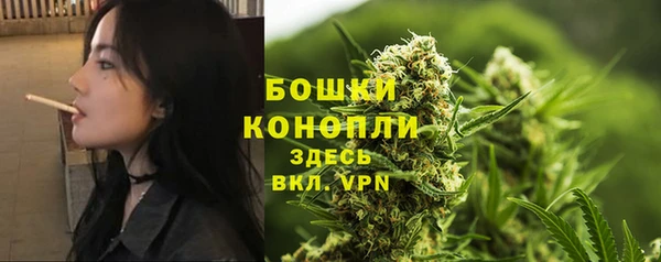 ALPHA-PVP Елизово