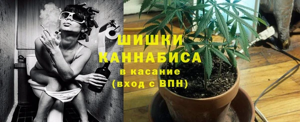 не бодяженный Елабуга